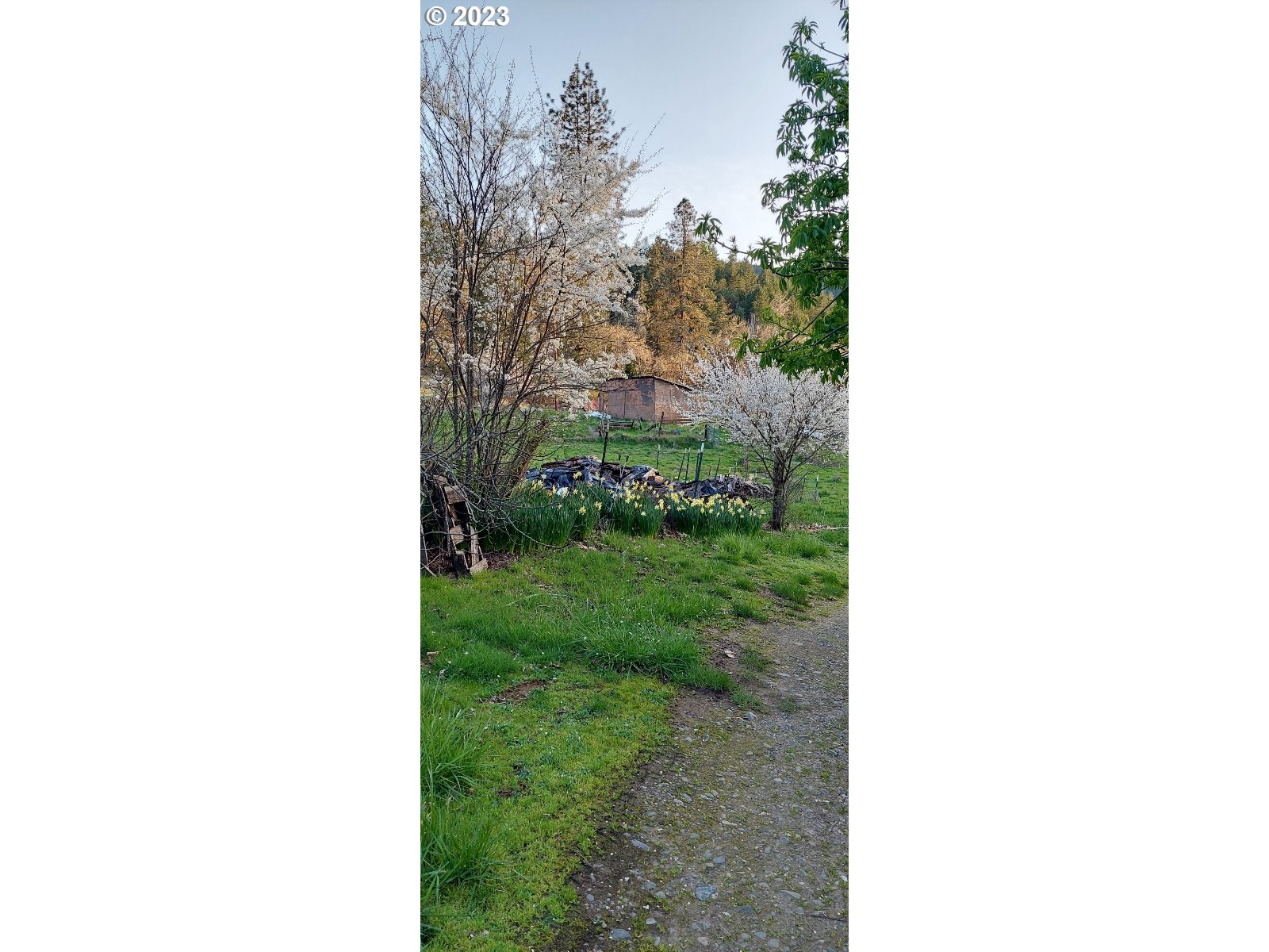 1805 Shoestring Road Riddle, OR 97469 - Photo 21 of 30 a view of a yard in front of a house
