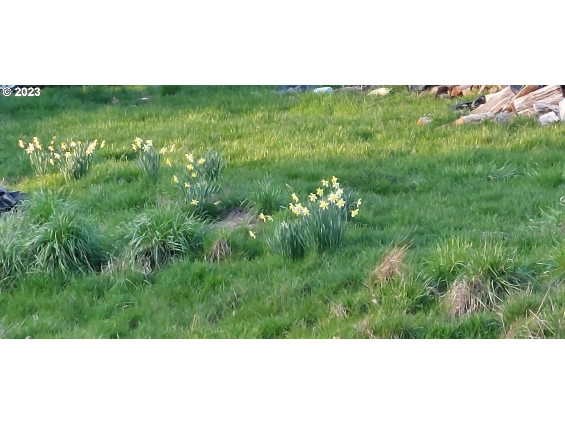 1805 Shoestring Road Riddle, OR 97469 - Photo 23 of 30 a view of a lush green space