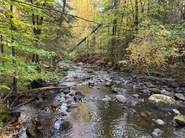 $850,000 | 484 South Johnsburg Road, Warrensburg, NY 12885