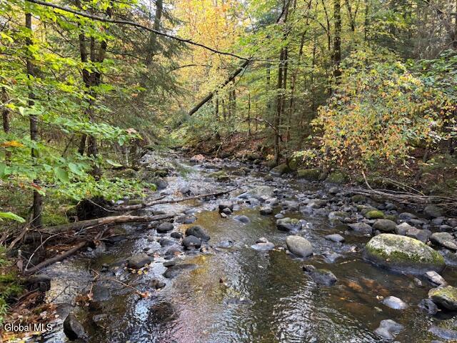 484 South Johnsburg Road Warrensburg, NY 12885 - Photo 36 of 42 IMG_2667