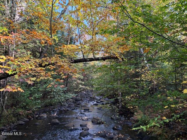 484 South Johnsburg Road Warrensburg, NY 12885 - Photo 38 of 42 IMG_2664