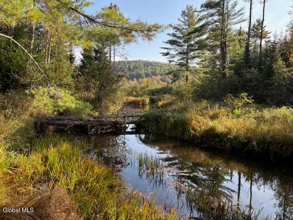 $850,000 | 484 South Johnsburg Road, Warrensburg, NY 12885