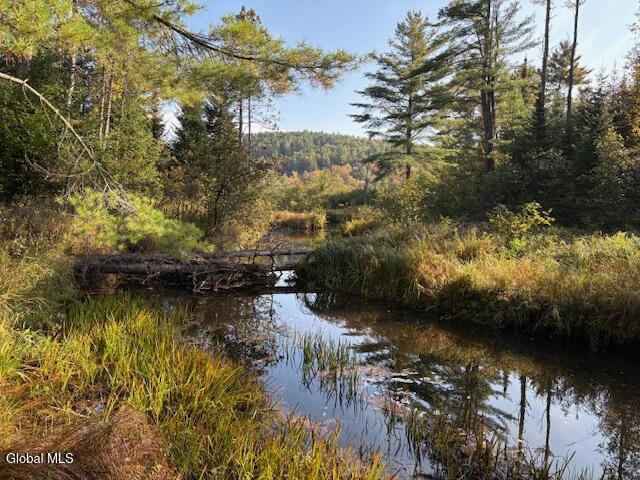 484 South Johnsburg Road Warrensburg, NY 12885 - Photo 40 of 42 IMG_2652