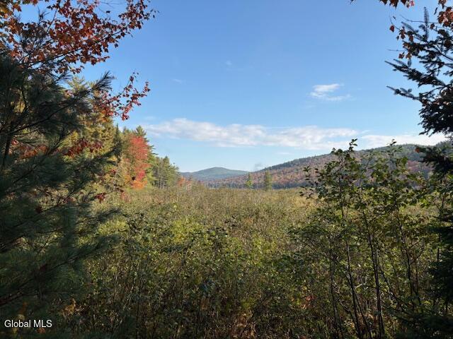 484 South Johnsburg Road Warrensburg, NY 12885 - Photo 41 of 42 IMG_2651