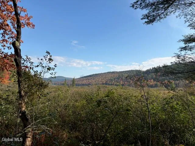 $850,000 | 484 South Johnsburg Road, Warrensburg, NY 12885