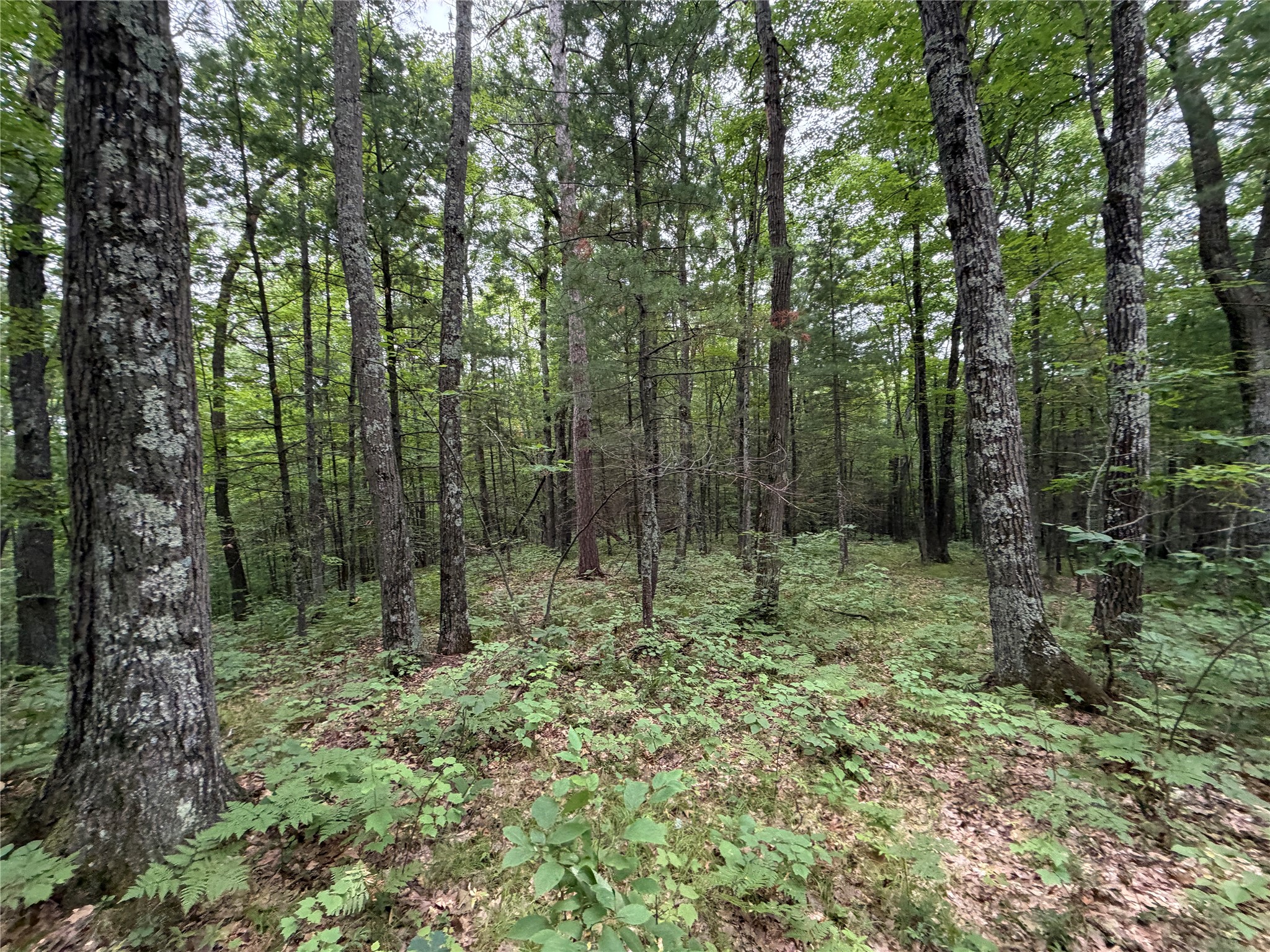 Lot 1 Nor Wis Road North Hayward, WI 54843 - Photo 19 of 37