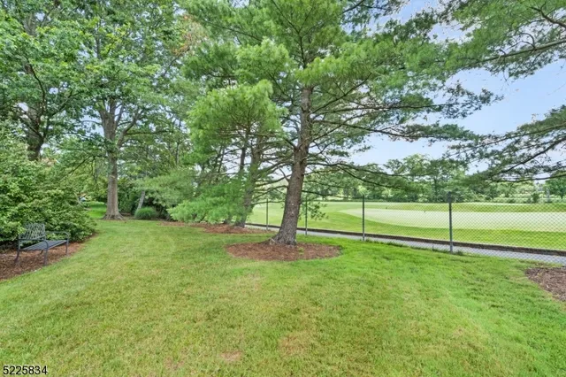 a view of a park with large trees