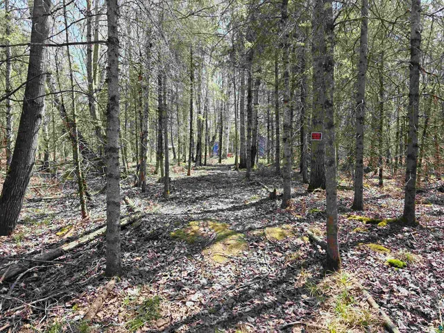 $114,900 | 1567 North Shore Road, La Pointe, WI 54850