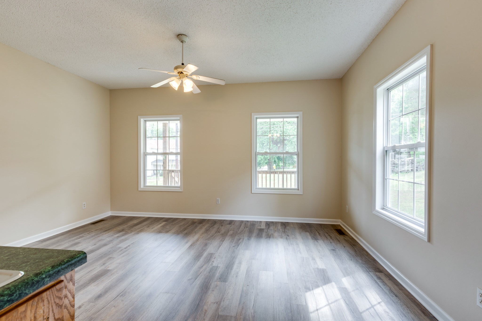 225 Locust Street Pulaski, TN 38478 - Photo 13 of 44 wooden floor in an empty room with a window