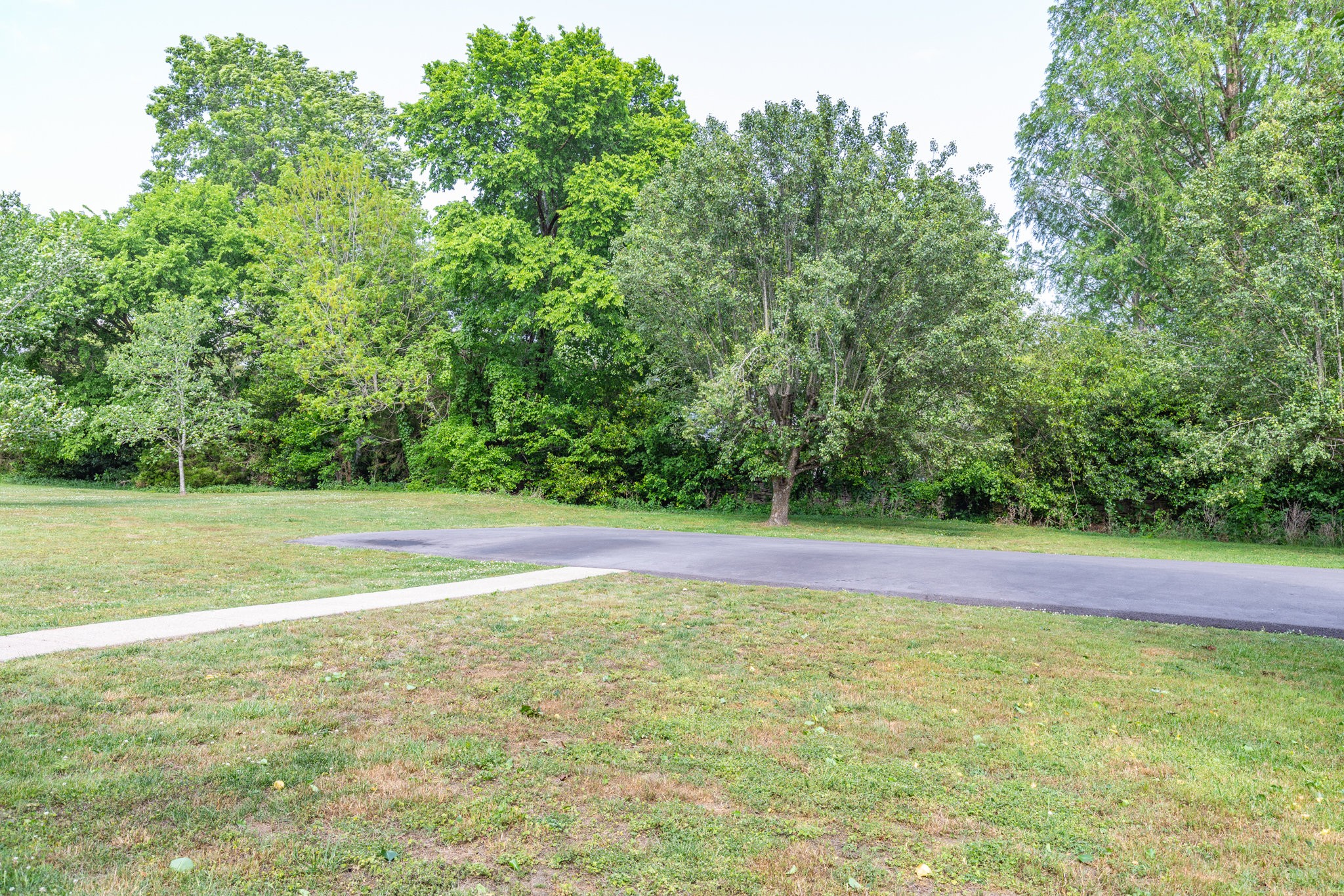 225 Locust Street Pulaski, TN 38478 - Photo 31 of 44 a view of a yard with a large trees