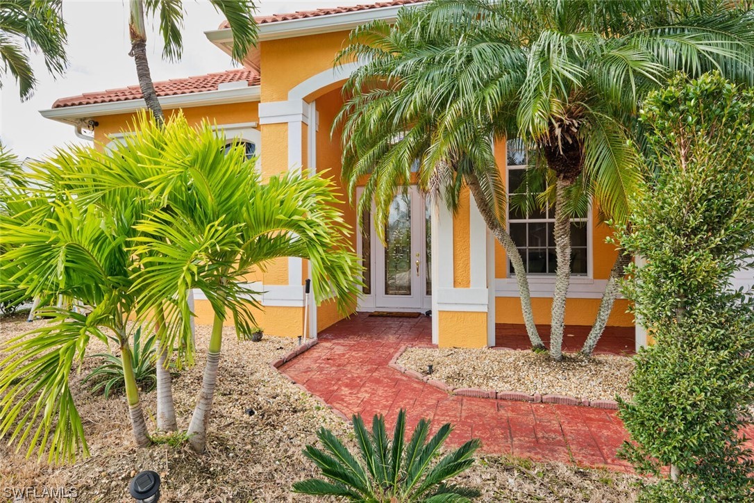 a house with a palm tree next to a yard with potted plants