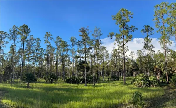 $799,000 | 4445 2nd Avenue Northeast, Naples, FL 34120