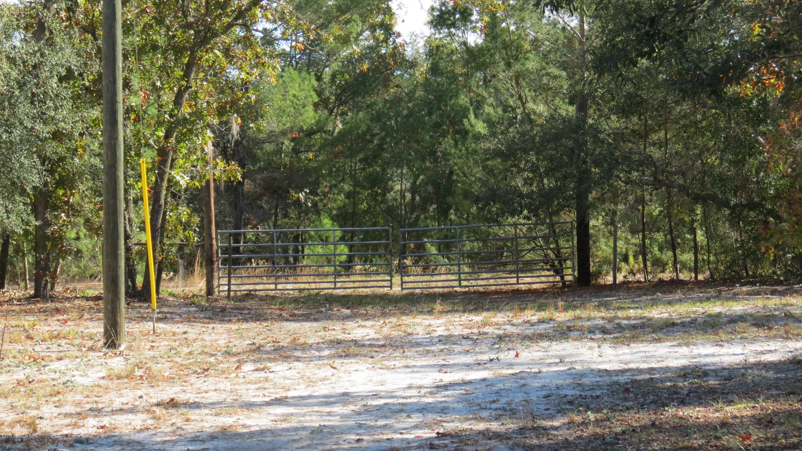 284 Beecher Springs Road Welaka, FL 32112 - Photo 2 of 36 a view of a yard with large trees