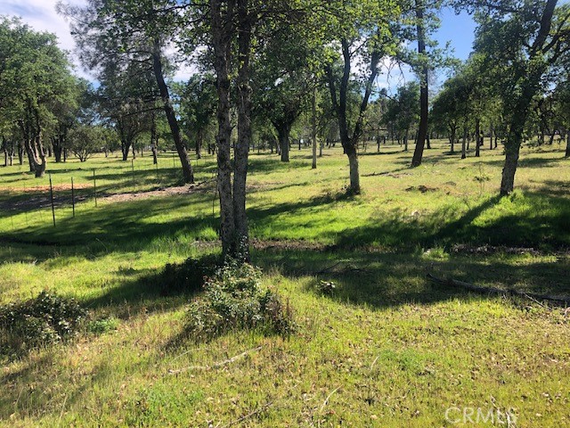 0 Cloverdale Road Anderson, CA 96007 - Photo 3 of 6 a view of park with large trees