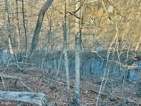 $99,900 | 1235 Lakeview Drive, Cross Junction, VA 22625