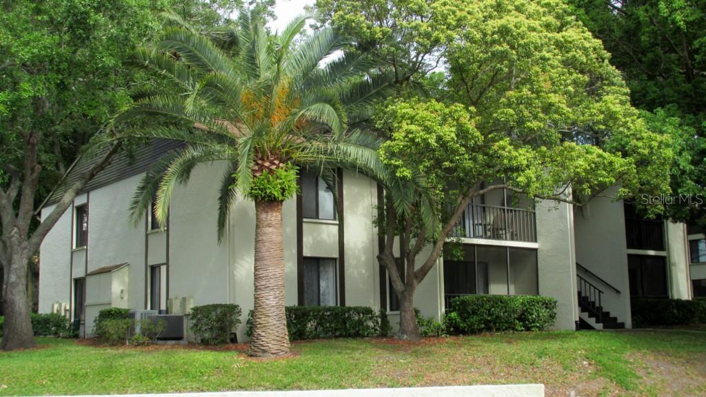 1737 Pine Ridge Way West, Unit A1 Palm Harbor, FL 34684 - Photo 1 of 1 front view of a house with a tree