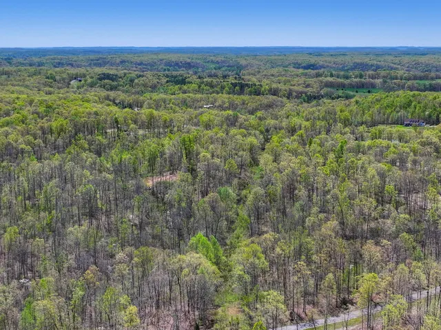 a view of a city with lush green forest