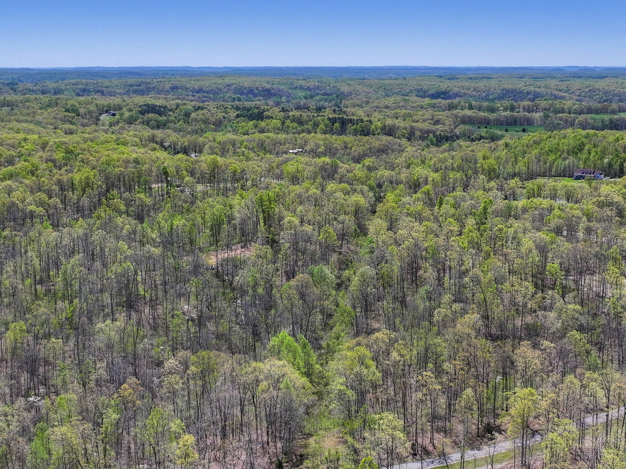 12 Slaughter Road Santa Fe, TN 38482 - Photo 6 of 7 a view of a city with lush green forest