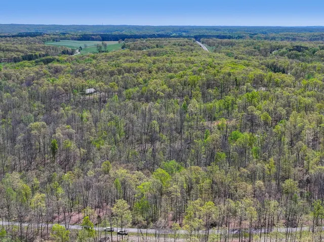 a view of a field with a lush green forest