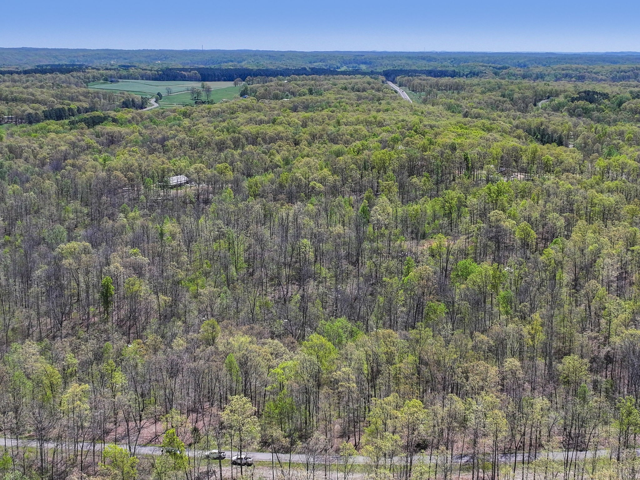 12 Slaughter Road Santa Fe, TN 38482 - Photo 7 of 7 a view of a field with a lush green forest