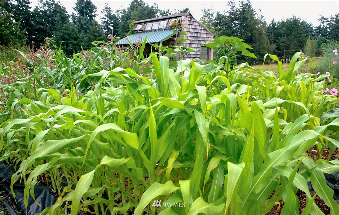 2787 Lopez Sound Road Lopez Island, WA 98261 - Photo 11 of 26