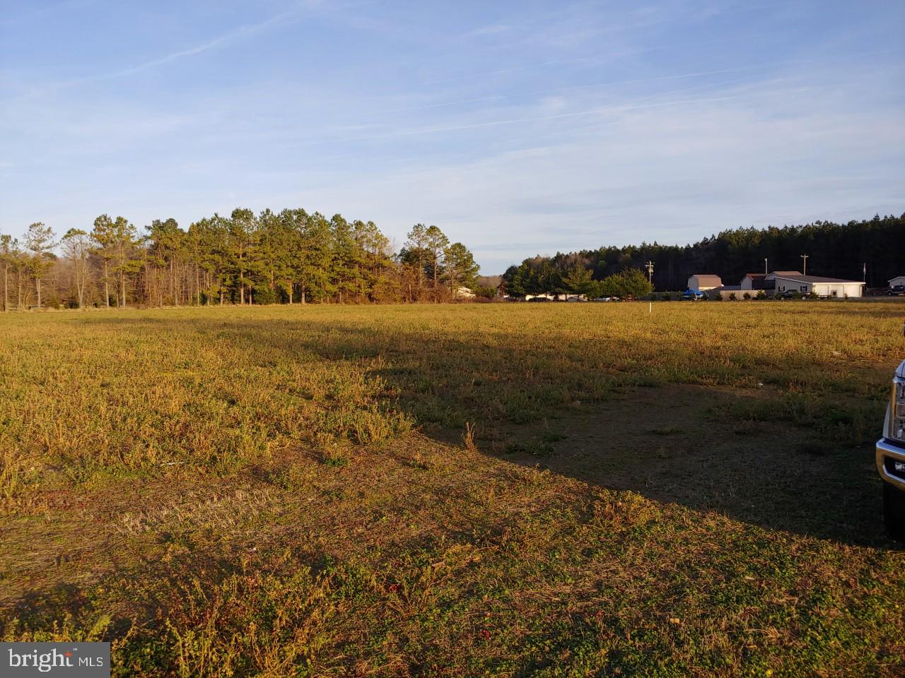 0 Walnut Tree Road Salisbury, MD 21801 - Photo 3 of 3