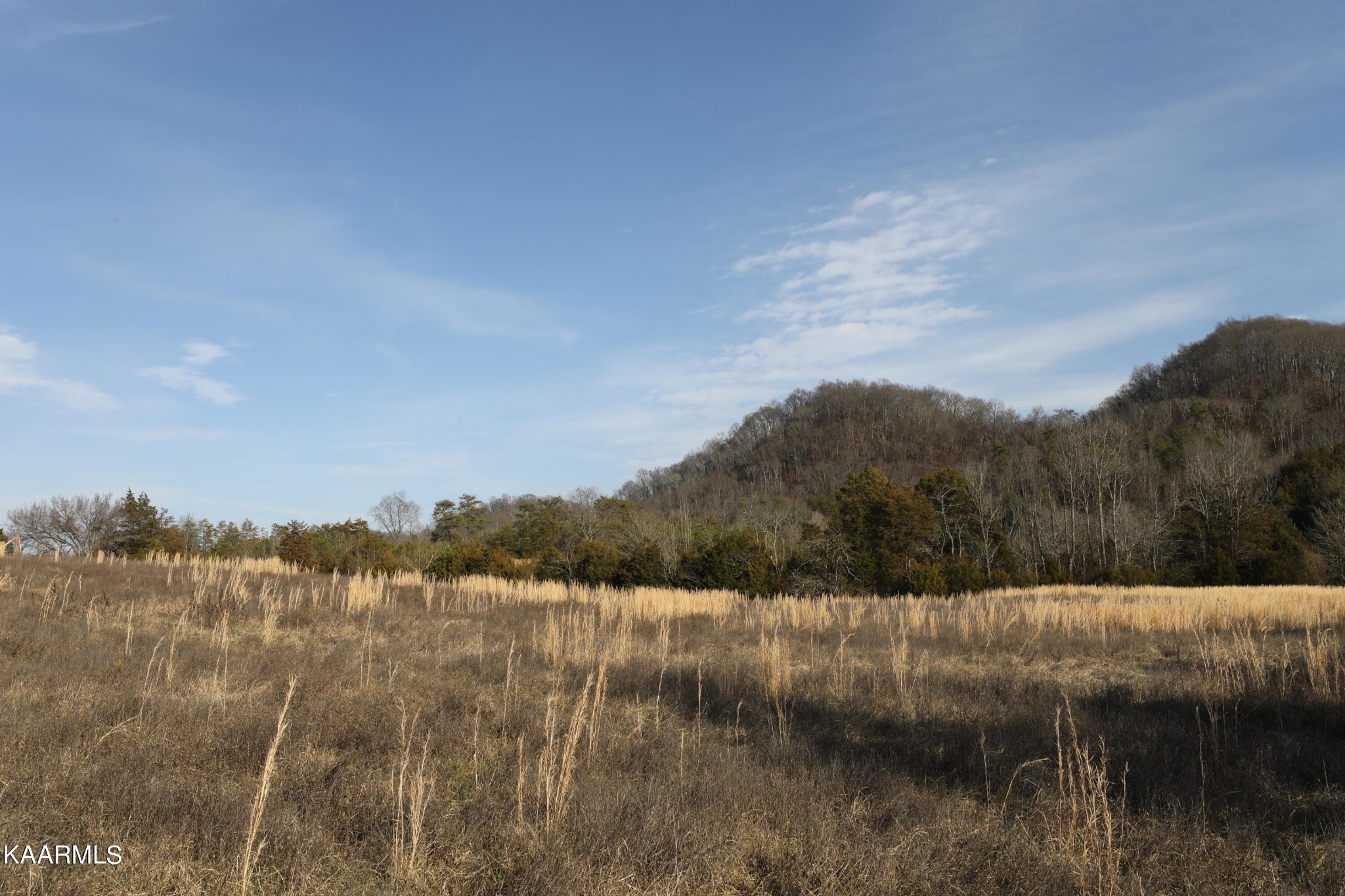 0 Sleepy Valley Road Madisonville, TN 37354 - Photo 21 of 24 Gallery Image 21