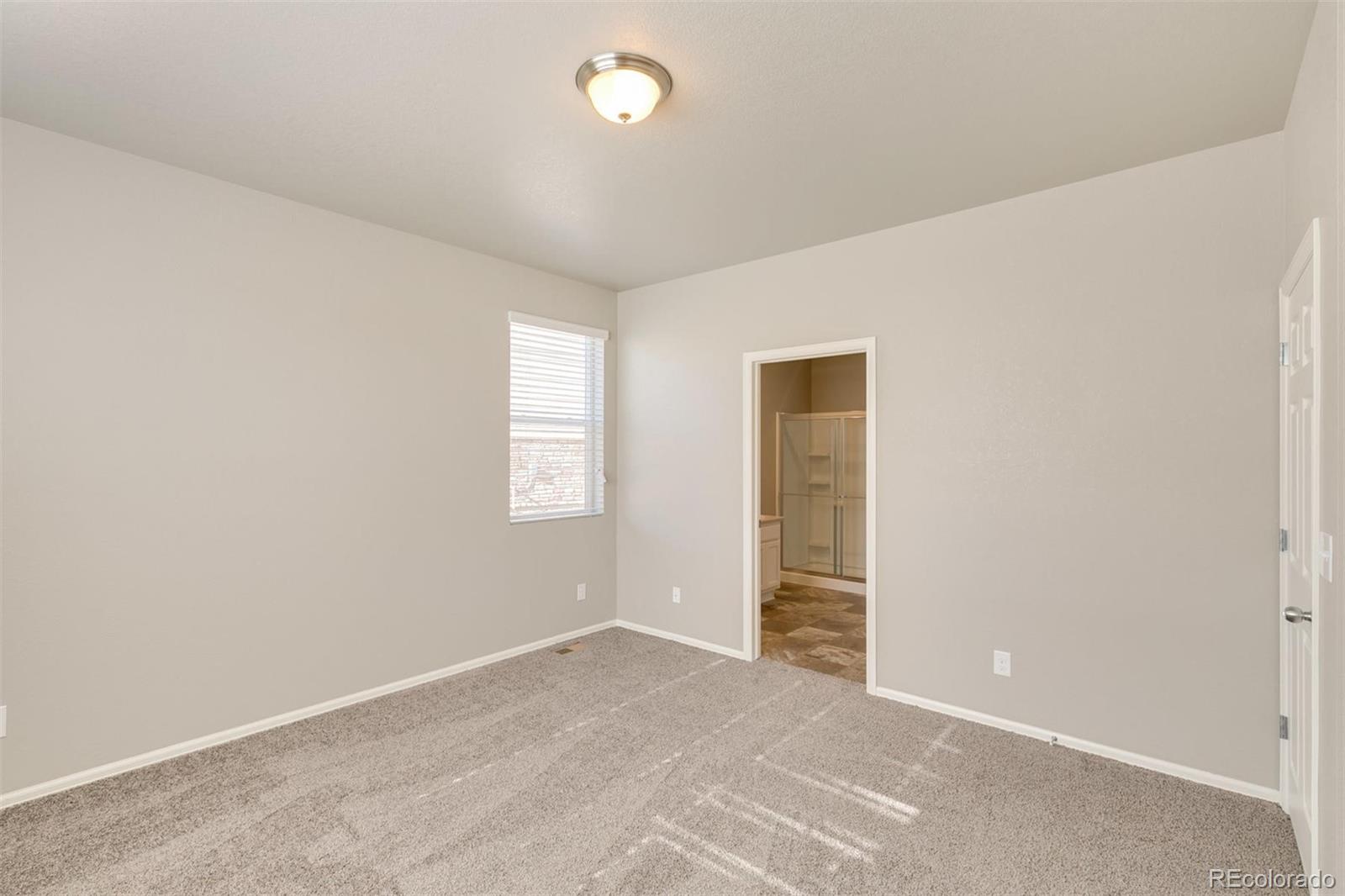 925 Camberly Drive Windsor, CO 80550 - Photo 18 of 29 an empty room with closet
