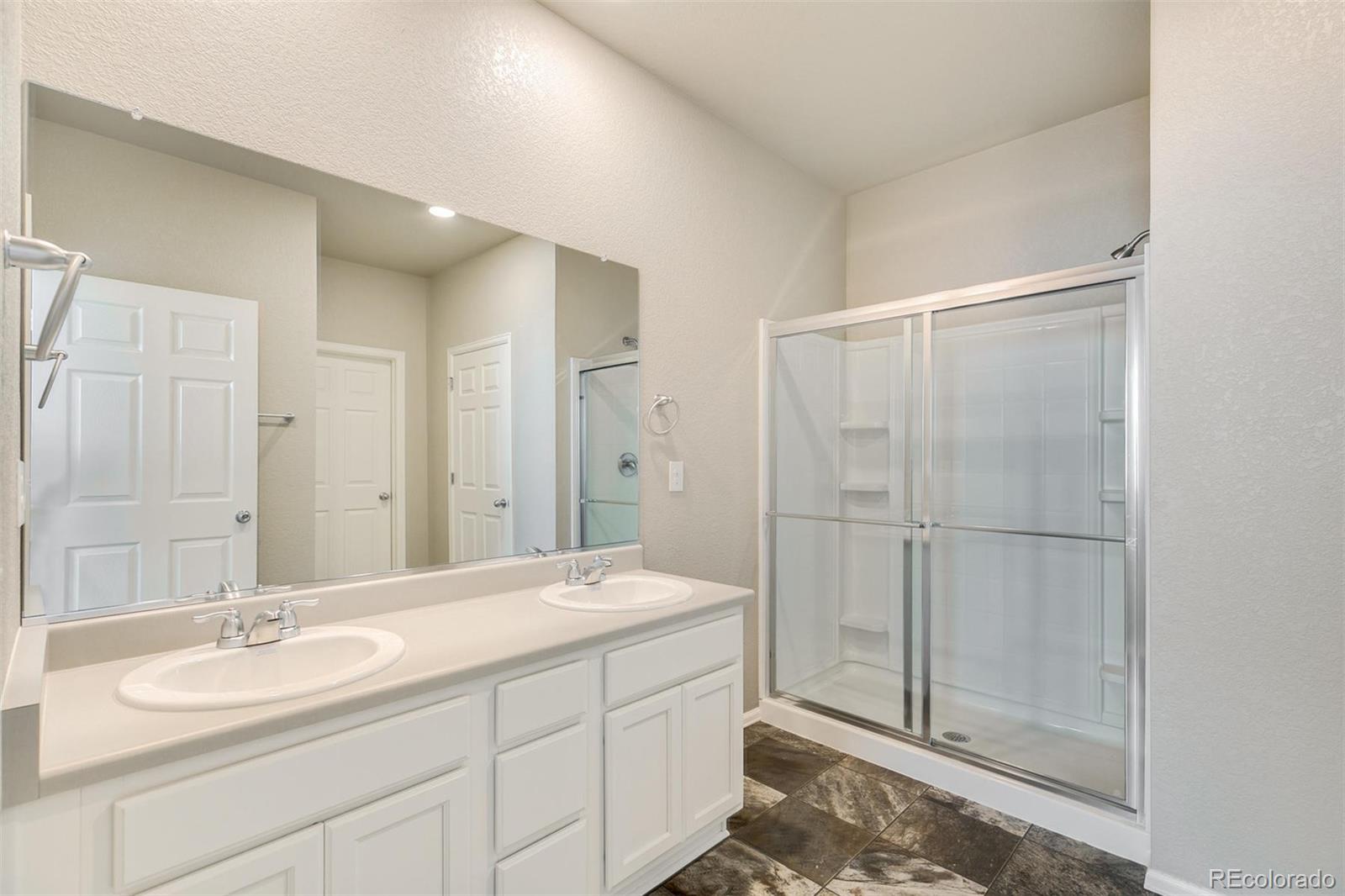 925 Camberly Drive Windsor, CO 80550 - Photo 19 of 29 a spacious bathroom with a shower sink and mirror