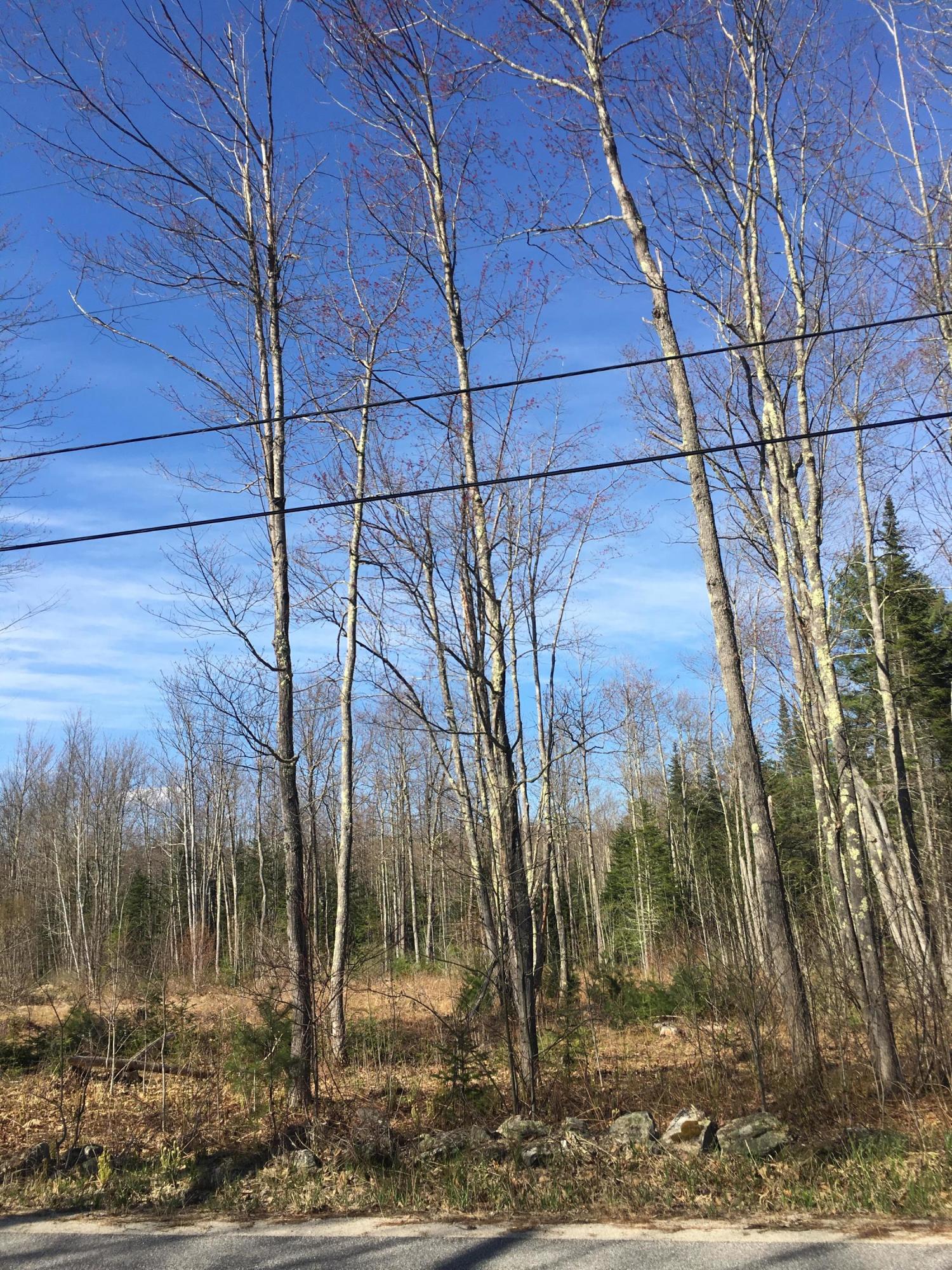 0 Garfield Road Minot, ME 04258 - Photo 2 of 3 BerryLandRoad