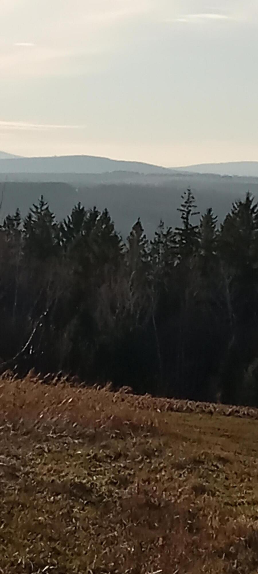 Ar105-p4 Jemtland Road Caribou, ME 04736 - Photo 4 of 6 20231225_142451