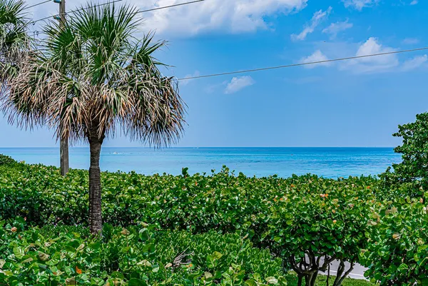 $4,000 | 1055 Ocean Drive, Unit 202, Juno Beach, FL 33408
