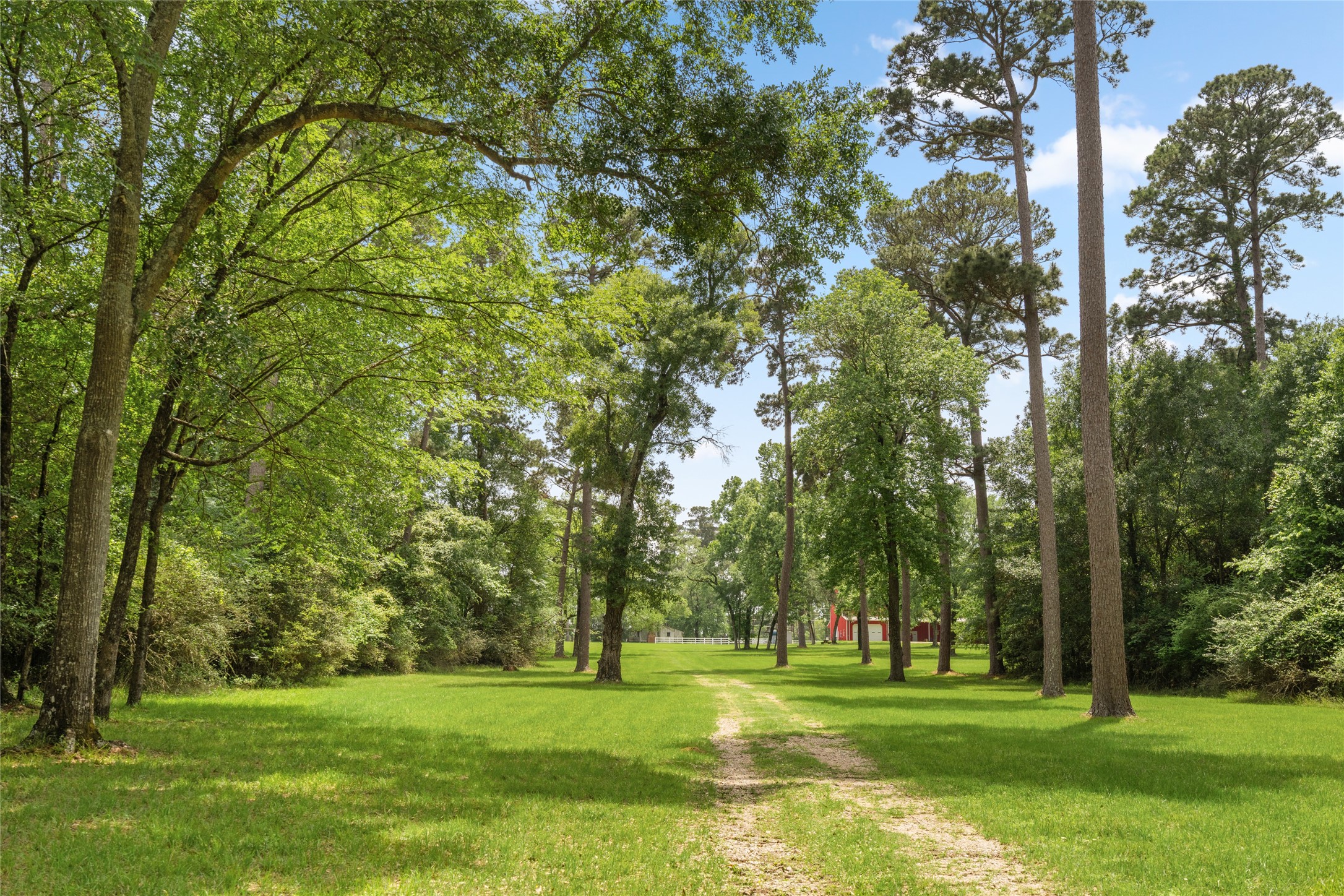 15126 Walden Road Montgomery, TX 77356 - Photo 47 of 50 Inviting trail from shore to residence with a wooded cluster in between- peaceful natural transition linking lake and living.