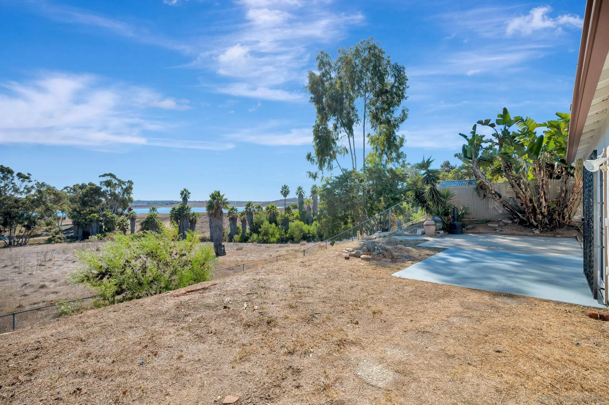 9421 Avenida Acero Spring Valley, CA 91977 - Photo 34 of 47 a view of a yard with palm tree