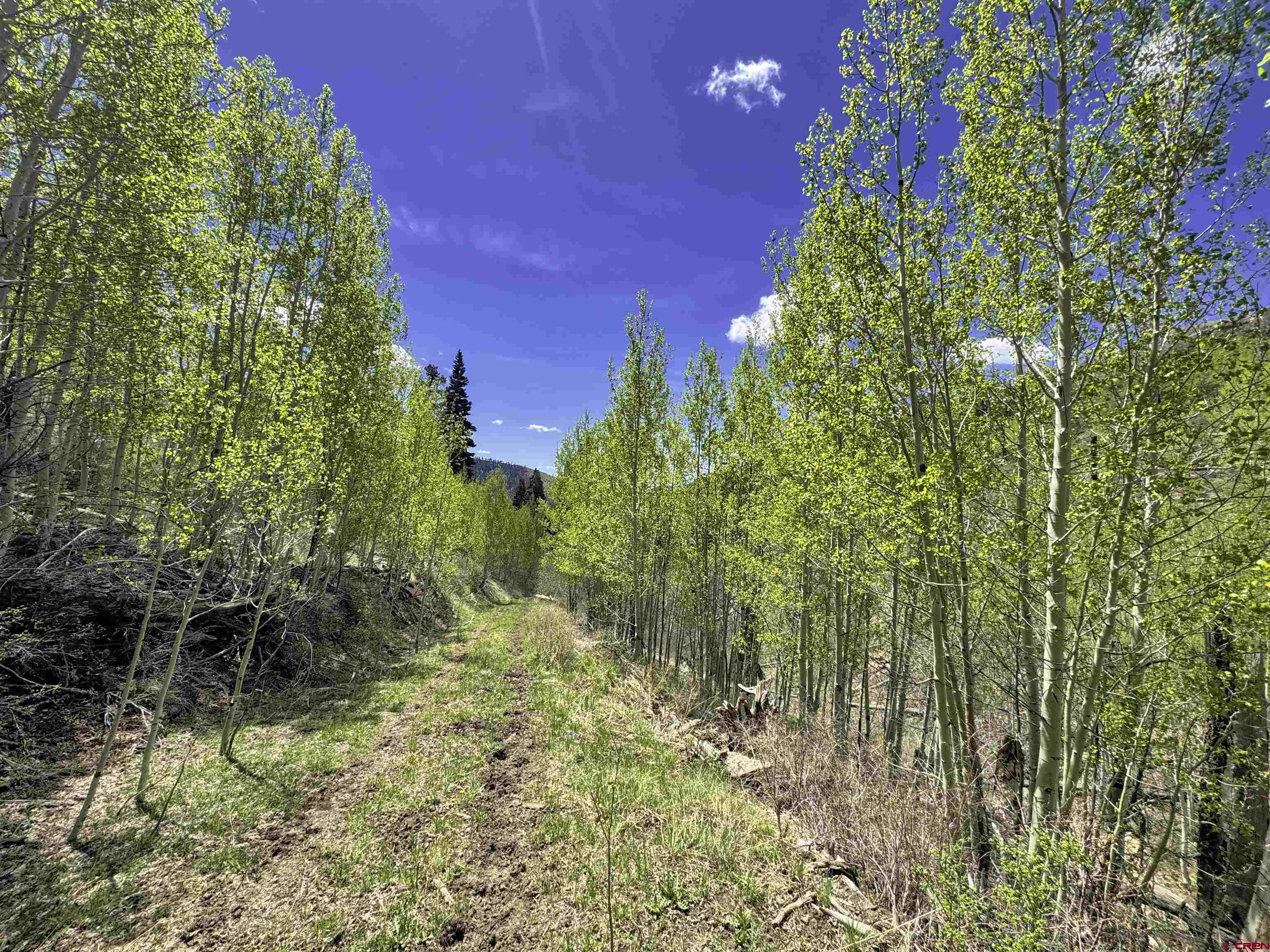 1515 County Road 243 Durango, CO 81301 - Photo 11 of 43 a view of a garden