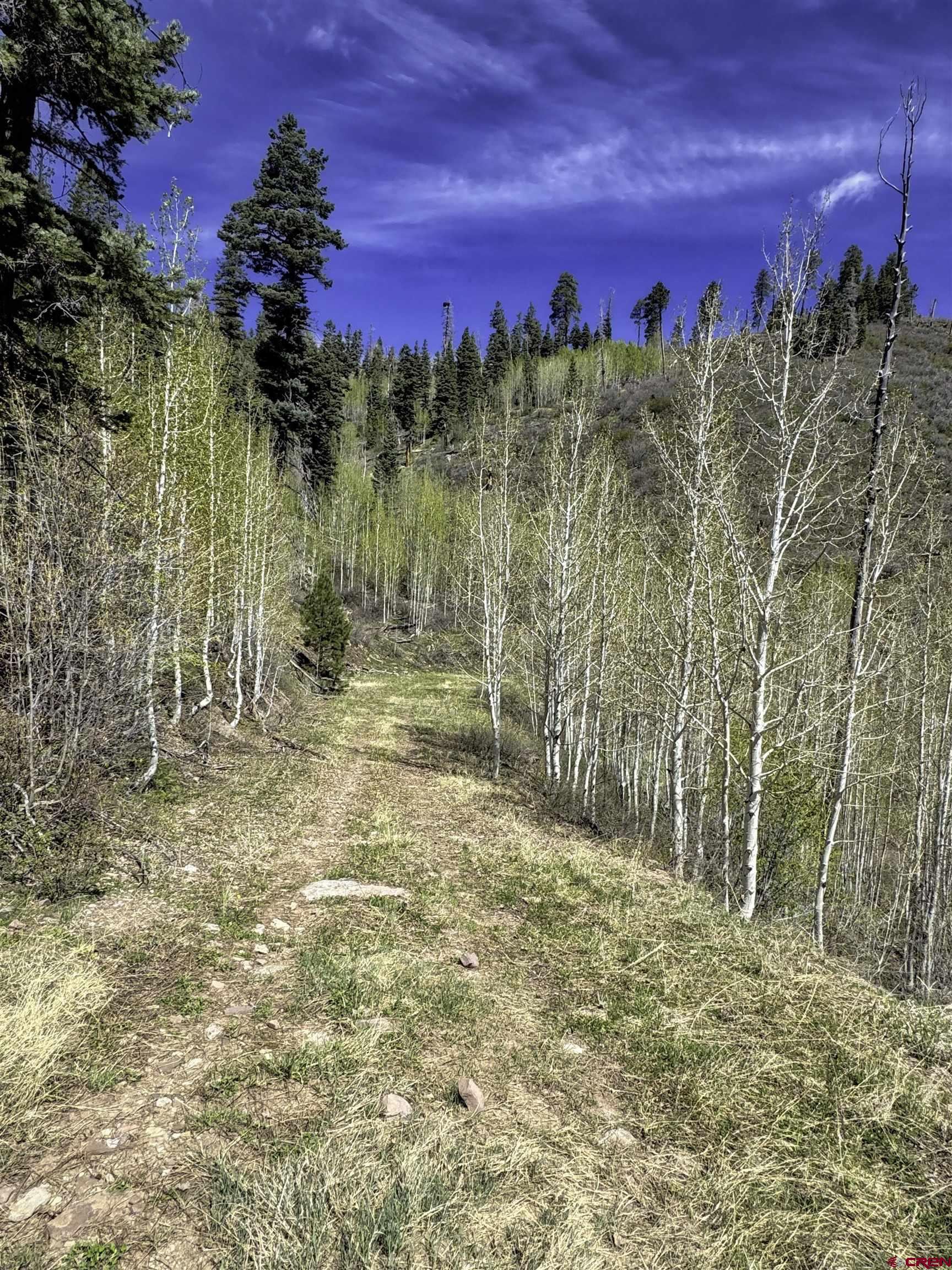 1515 County Road 243 Durango, CO 81301 - Photo 12 of 43 a view of a building with a yard