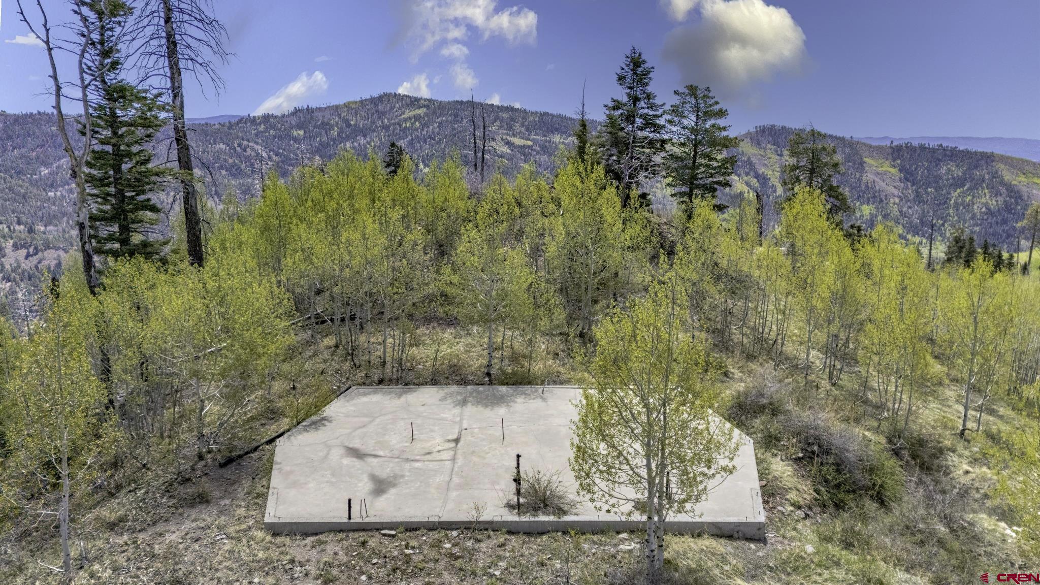 1515 County Road 243 Durango, CO 81301 - Photo 14 of 43 a view of a yard