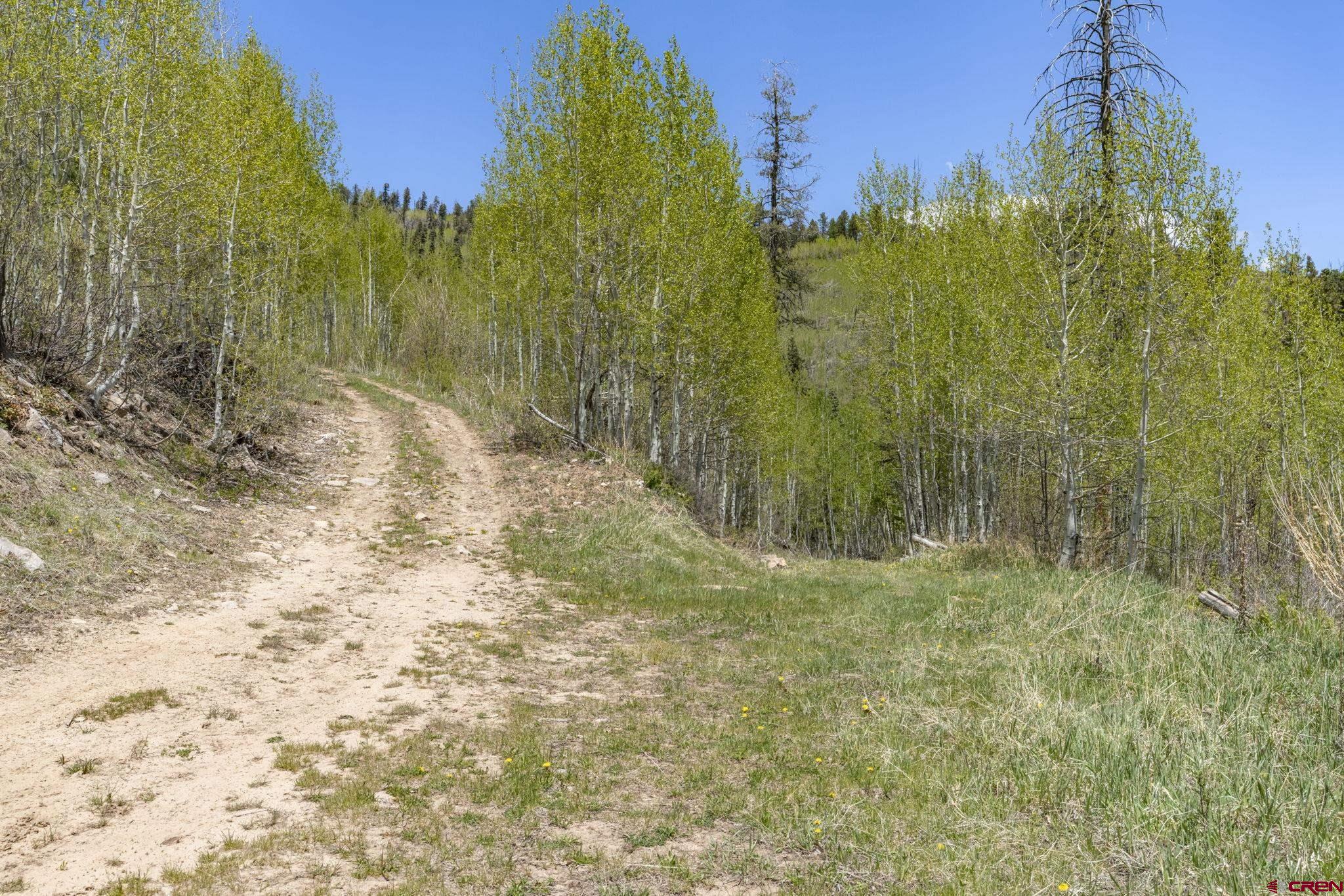 1515 County Road 243 Durango, CO 81301 - Photo 16 of 43 a view of a yard