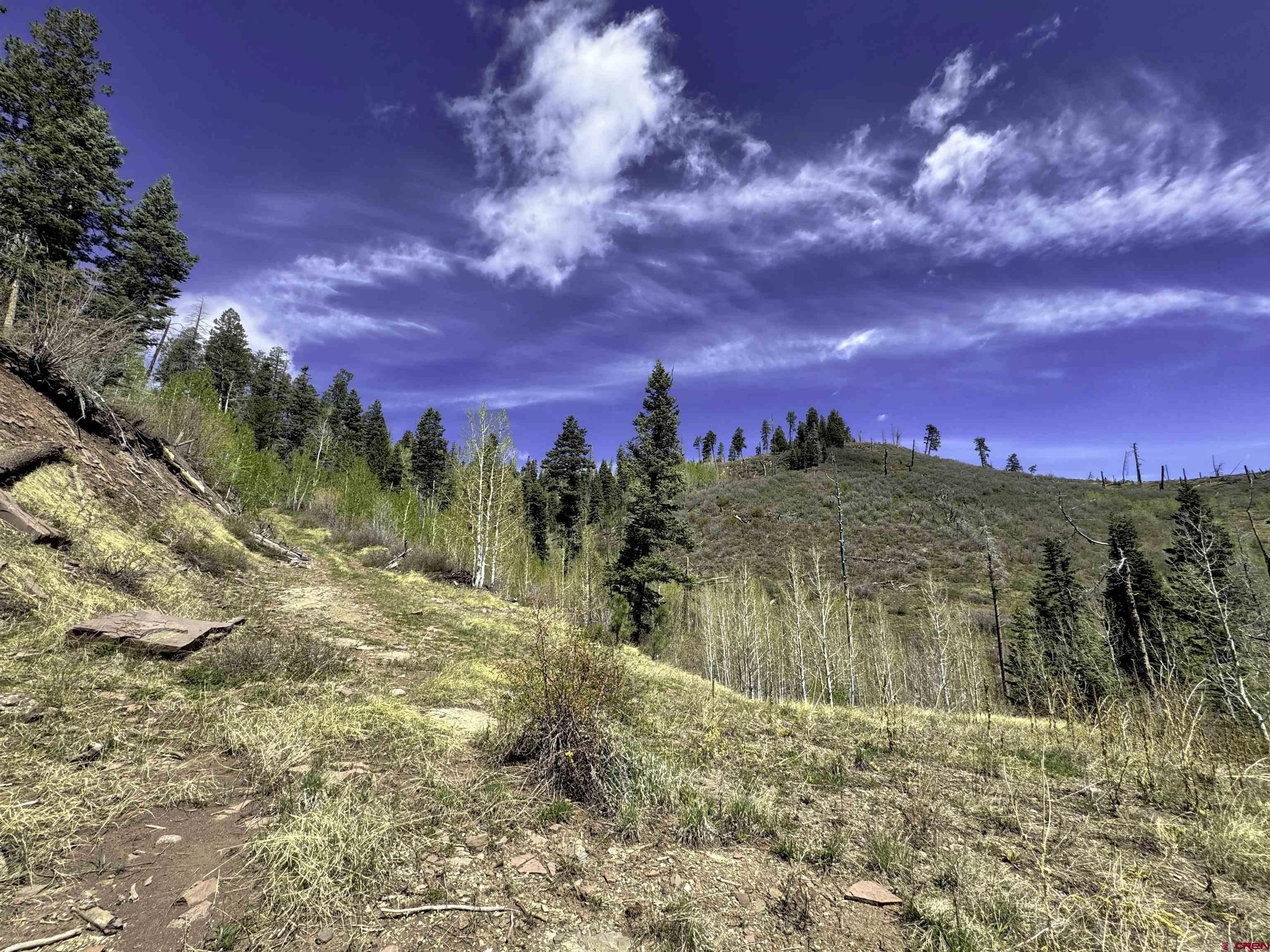 1515 County Road 243 Durango, CO 81301 - Photo 19 of 43 a view of a yard with a building
