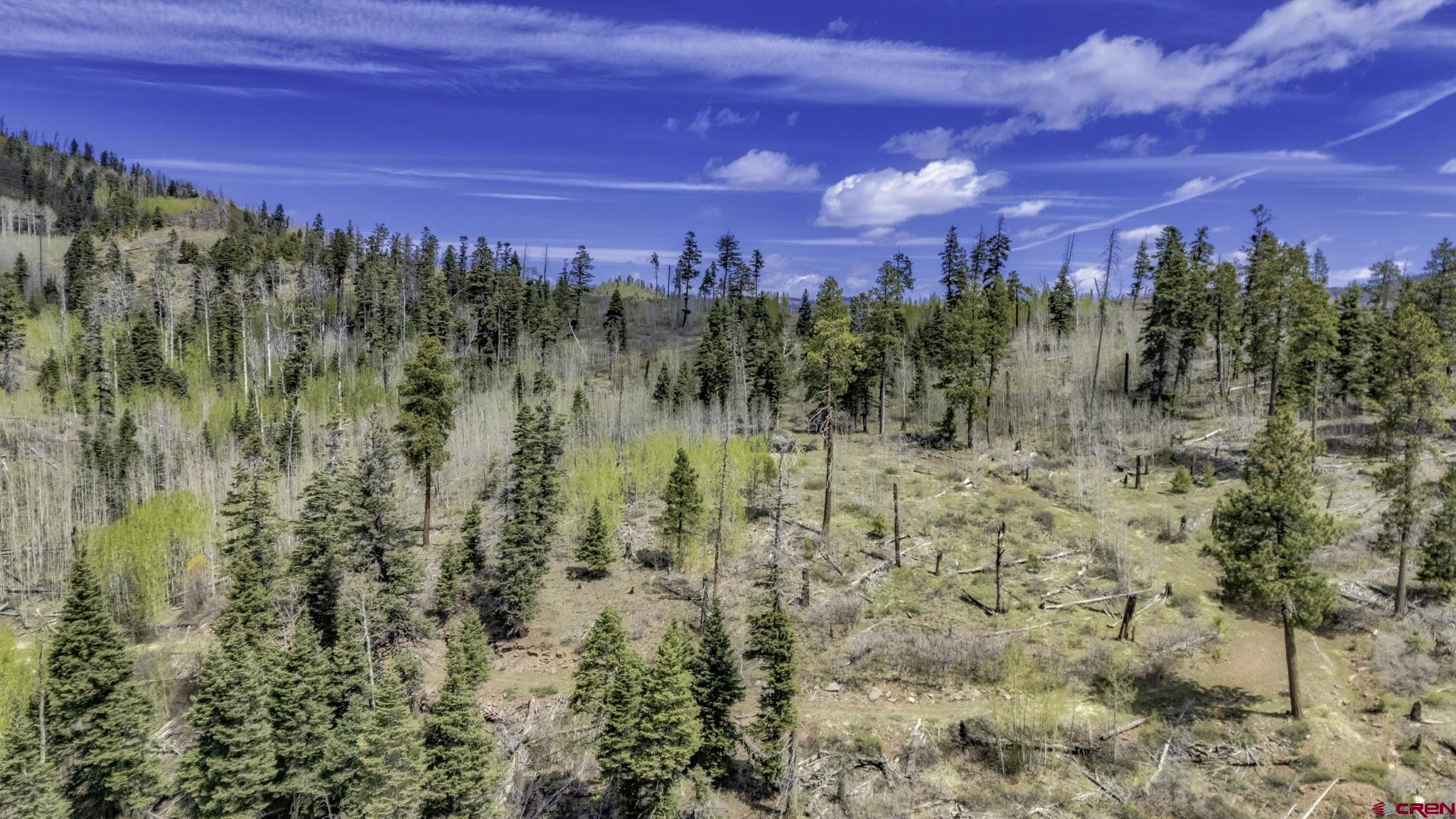 1515 County Road 243 Durango, CO 81301 - Photo 24 of 43 a view of a city with large trees