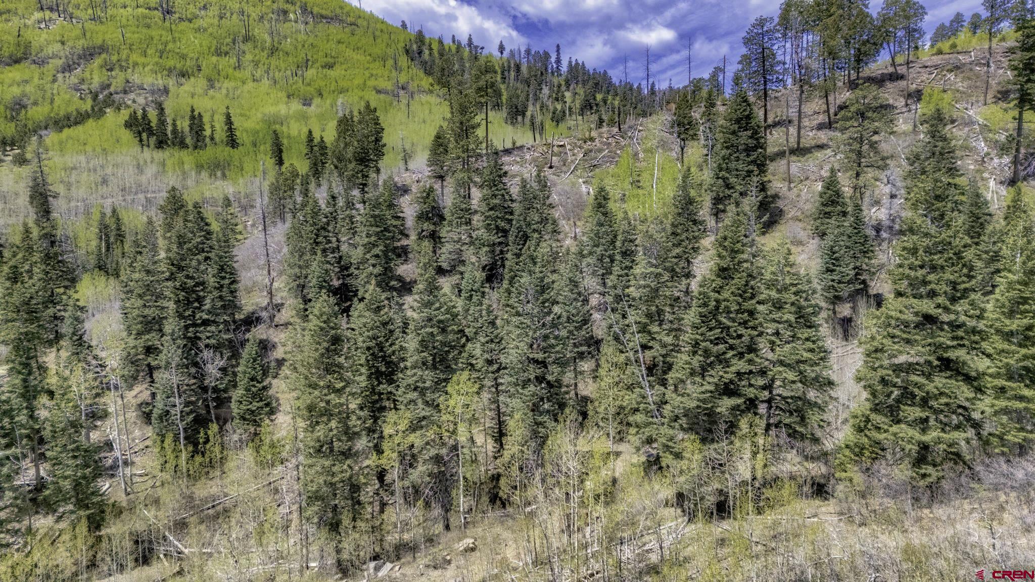 1515 County Road 243 Durango, CO 81301 - Photo 27 of 43