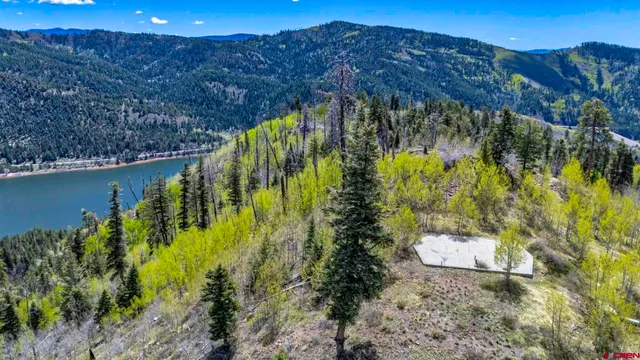 a view of yard with swimming pool and green space