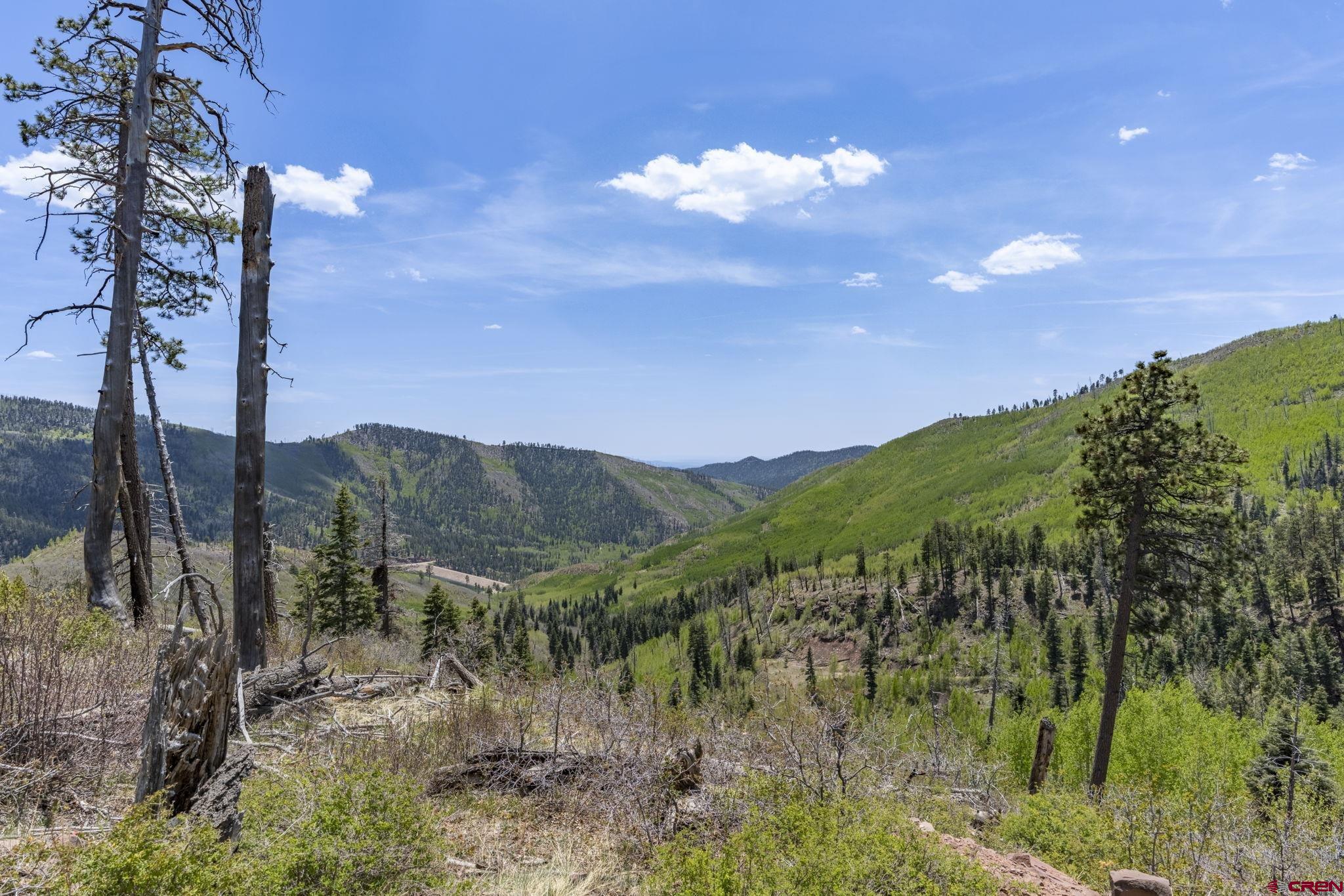 1515 County Road 243 Durango, CO 81301 - Photo 30 of 43 a view of a city with lush green forest
