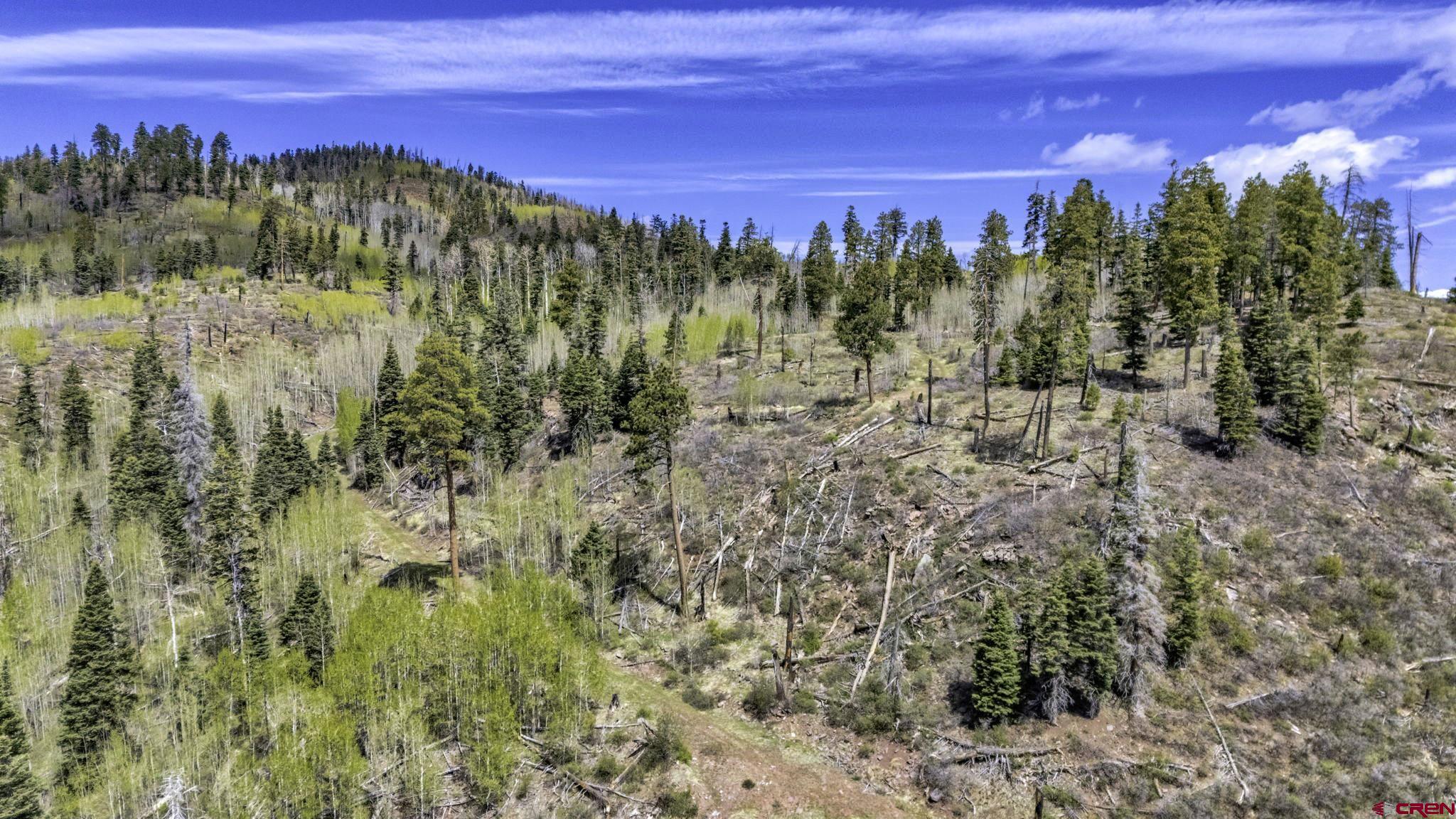 1515 County Road 243 Durango, CO 81301 - Photo 32 of 43 a view of a houses with a yard