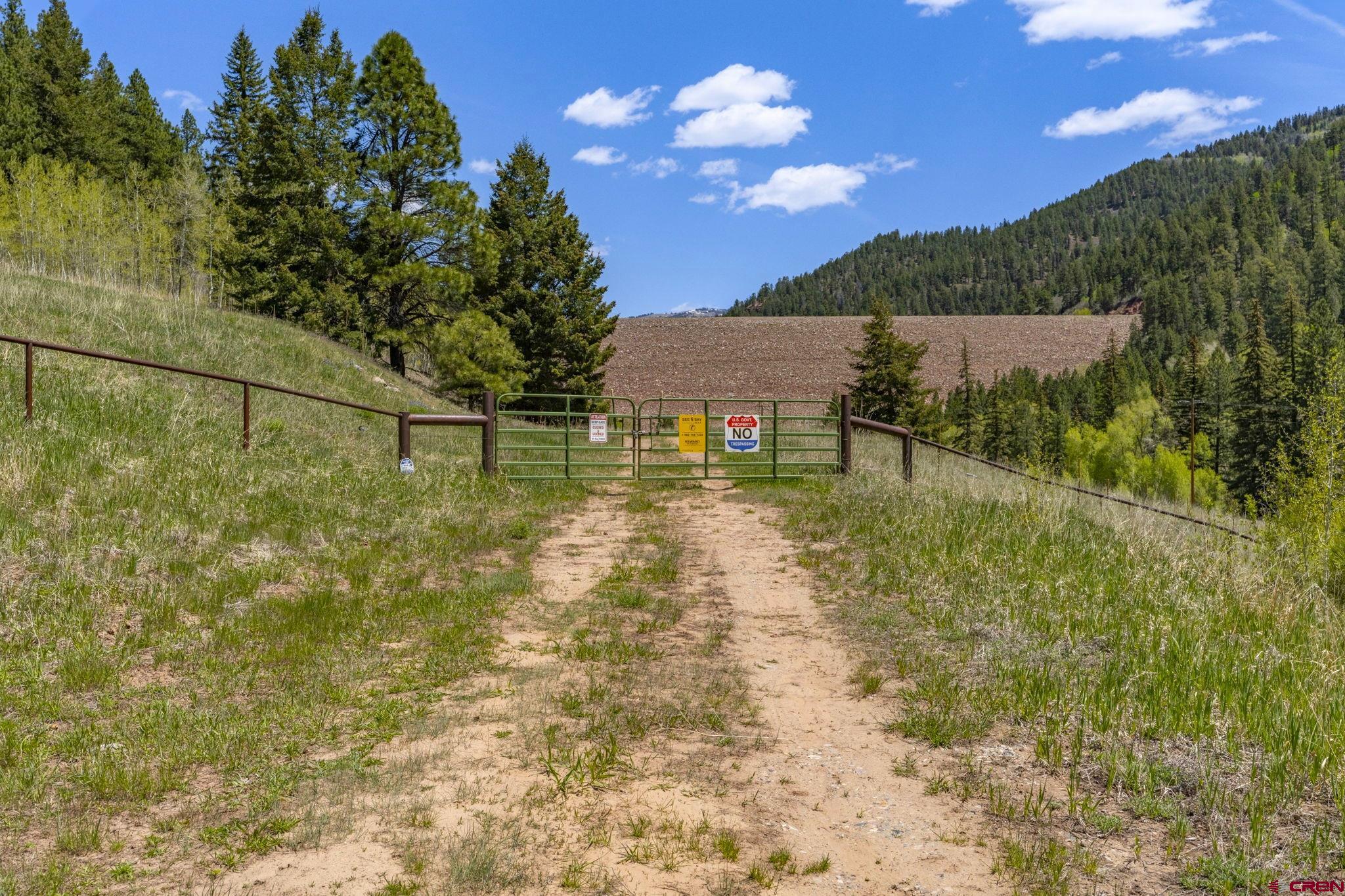 1515 County Road 243 Durango, CO 81301 - Photo 33 of 43 a view of yard with swimming pool and green space