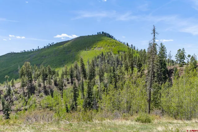 a view of a lake with a mountain in the background