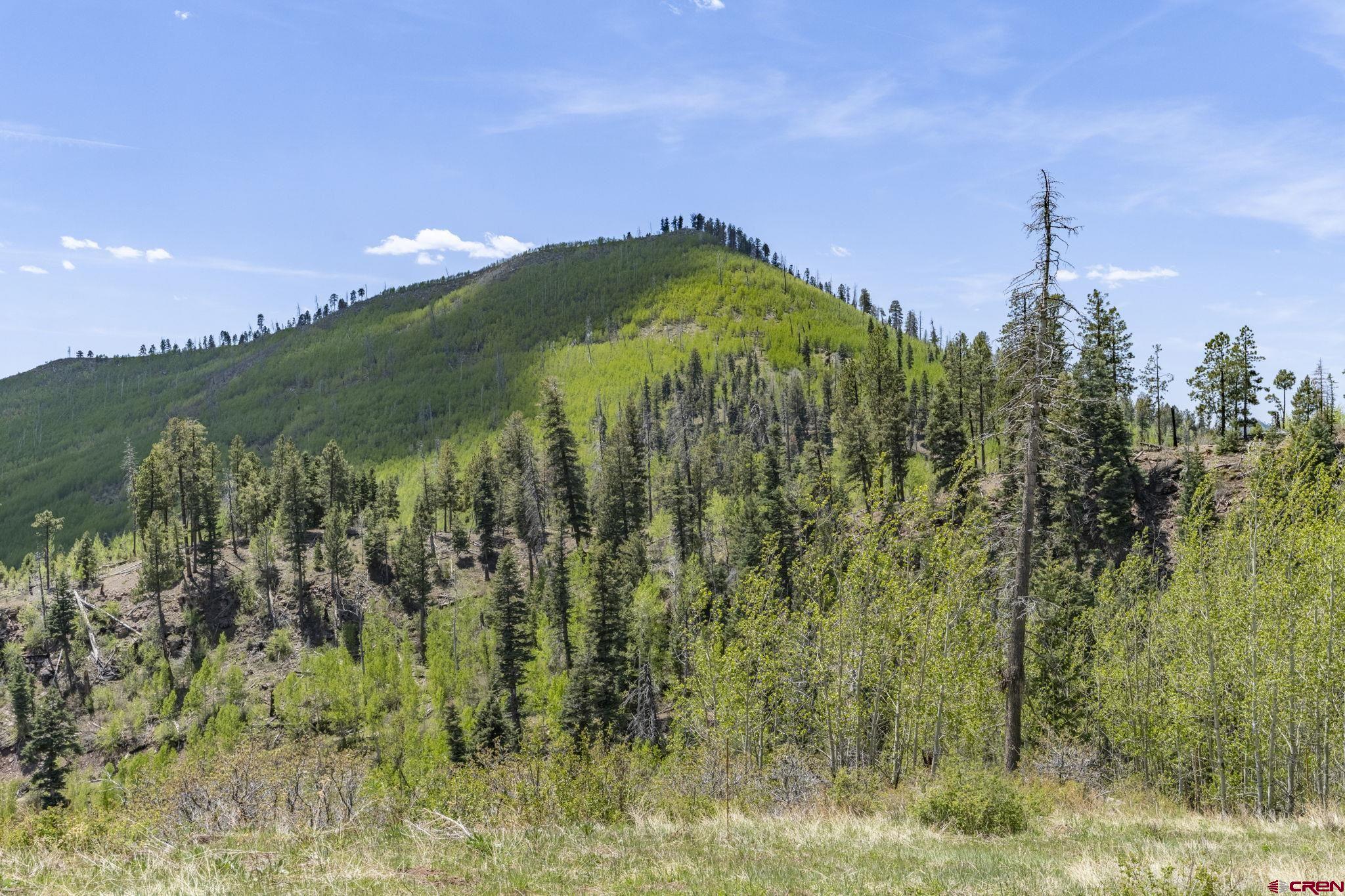1515 County Road 243 Durango, CO 81301 - Photo 35 of 43 a view of a garden