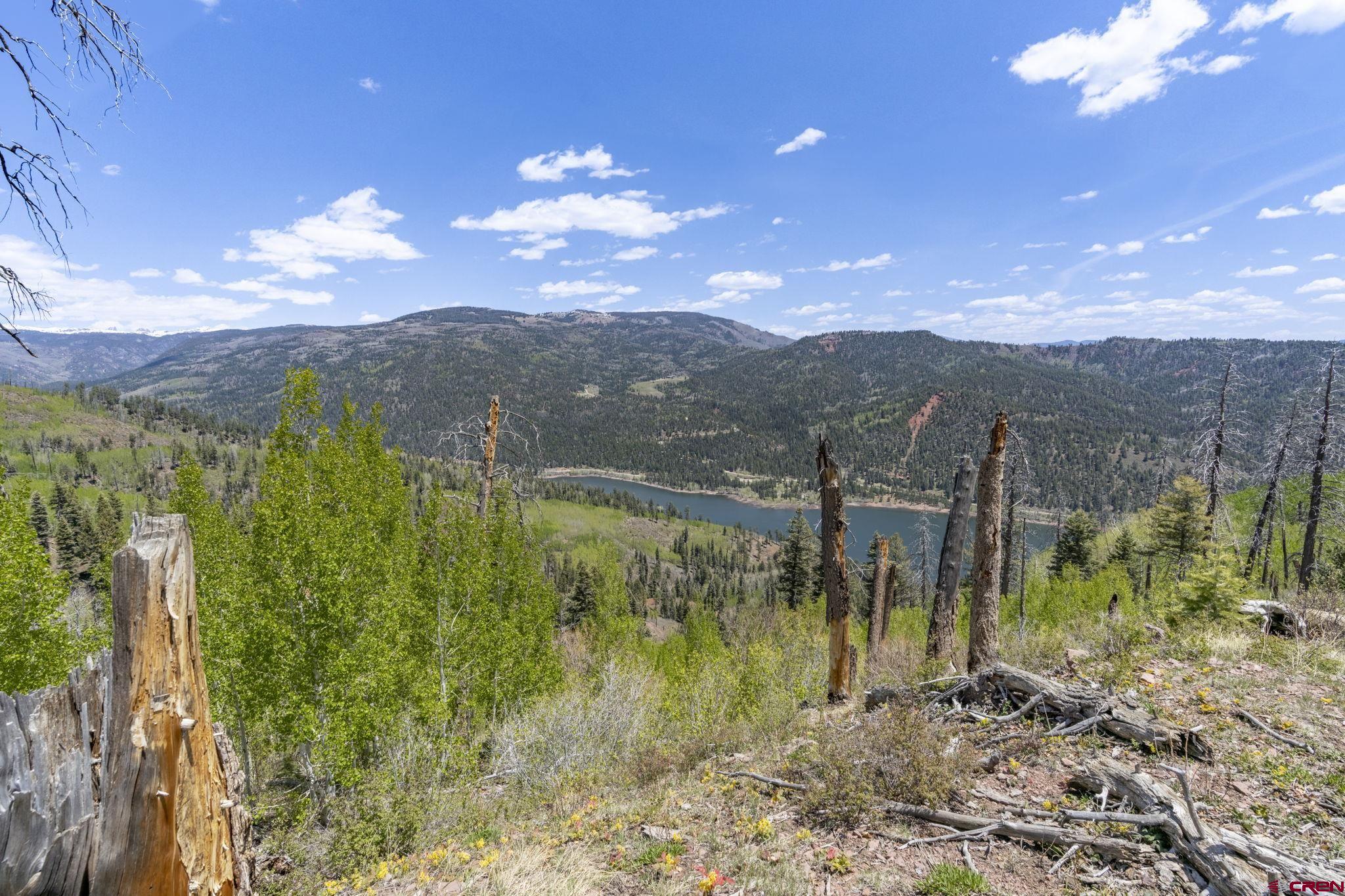 1515 County Road 243 Durango, CO 81301 - Photo 37 of 43 a view of a lake with a mountain