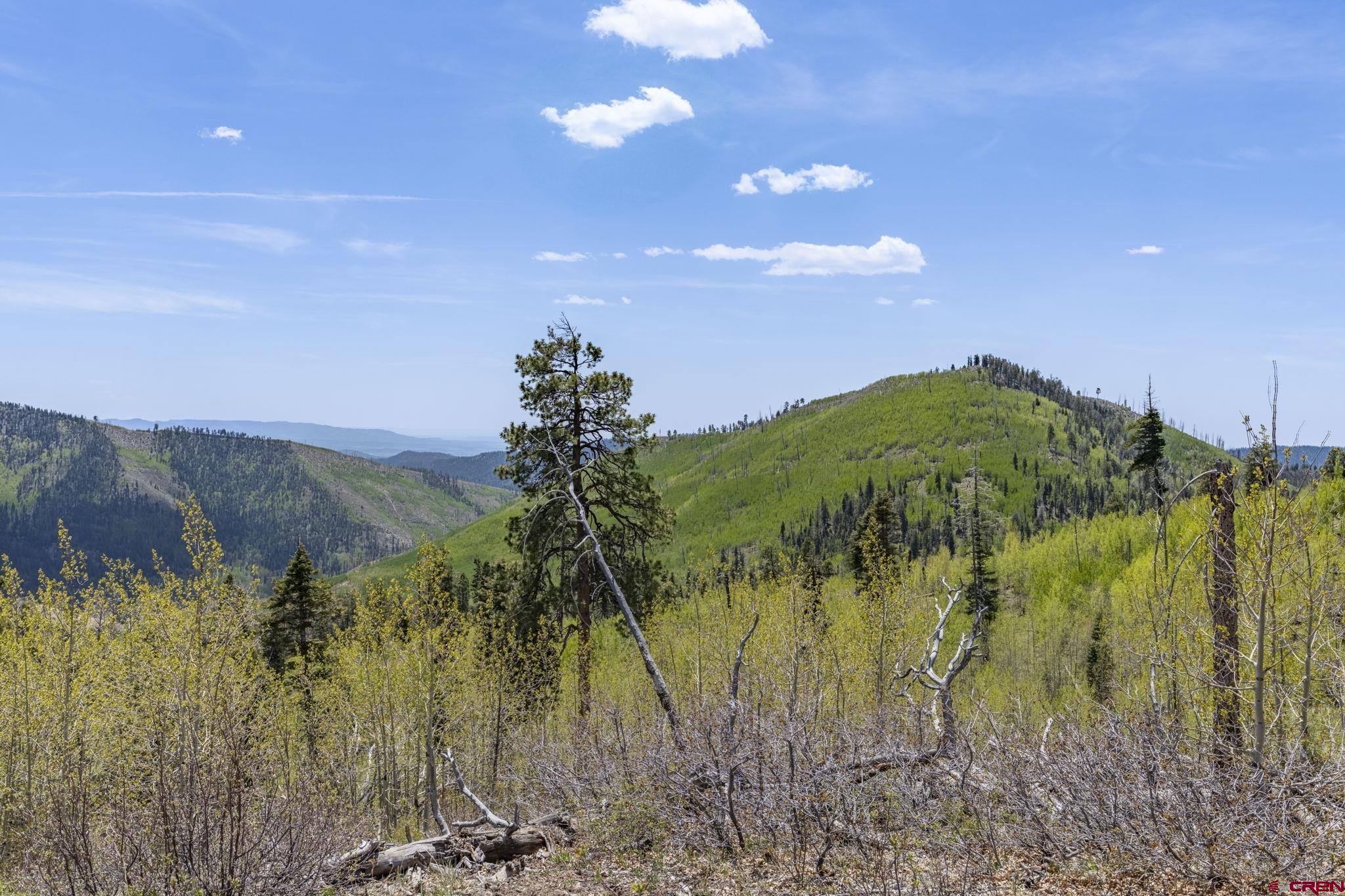 1515 County Road 243 Durango, CO 81301 - Photo 38 of 43 a view of a garden