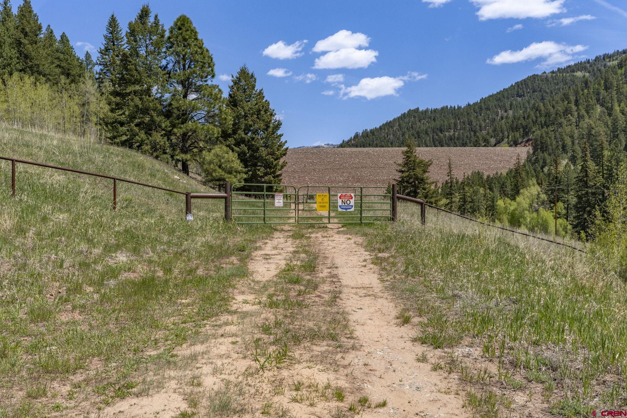 1515 County Road 243 Durango, CO 81301 - Photo 4 of 43 a view of yard with swimming pool and green space